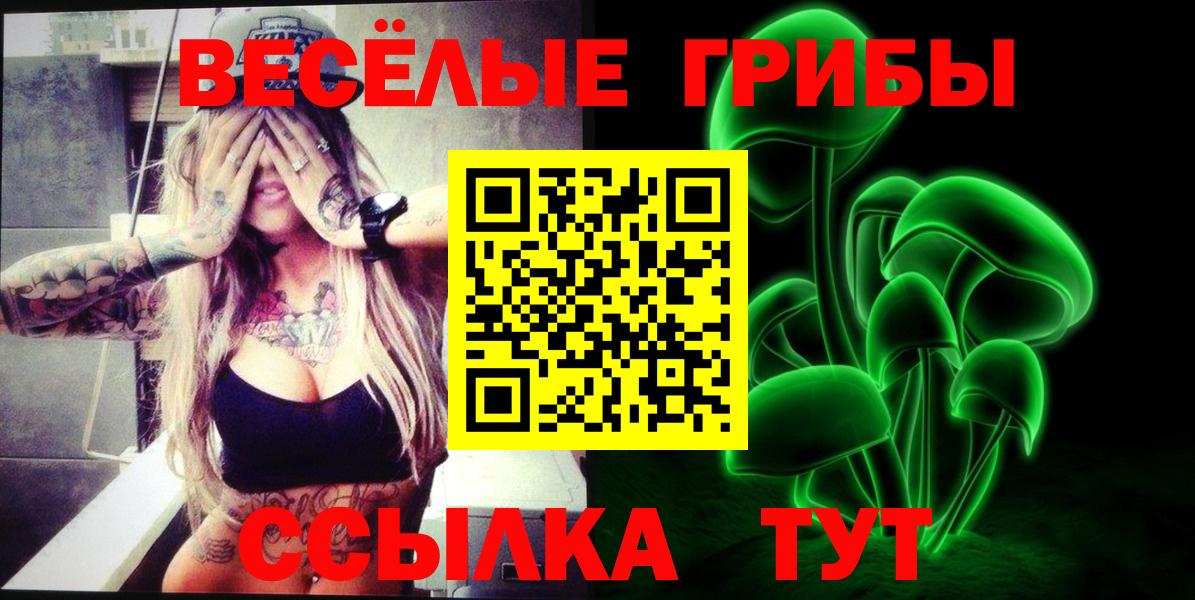 Прокопьевск  Галлюциногенные грибы ЛСД  Вход с VPN  Галлюциногенные грибы мухоморы 